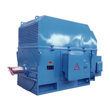 YR, YRKS, YRKK 系列(H710~800) 大型高壓三相異步電動(dòng)機(jī)