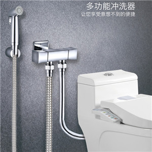 達(dá)柏林閥門 家用水控系統(tǒng) 多功能沖洗器