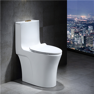 新款家用馬桶超漩虹吸式沖水緩降蓋板靜音節(jié)水衛(wèi)生間坐便器